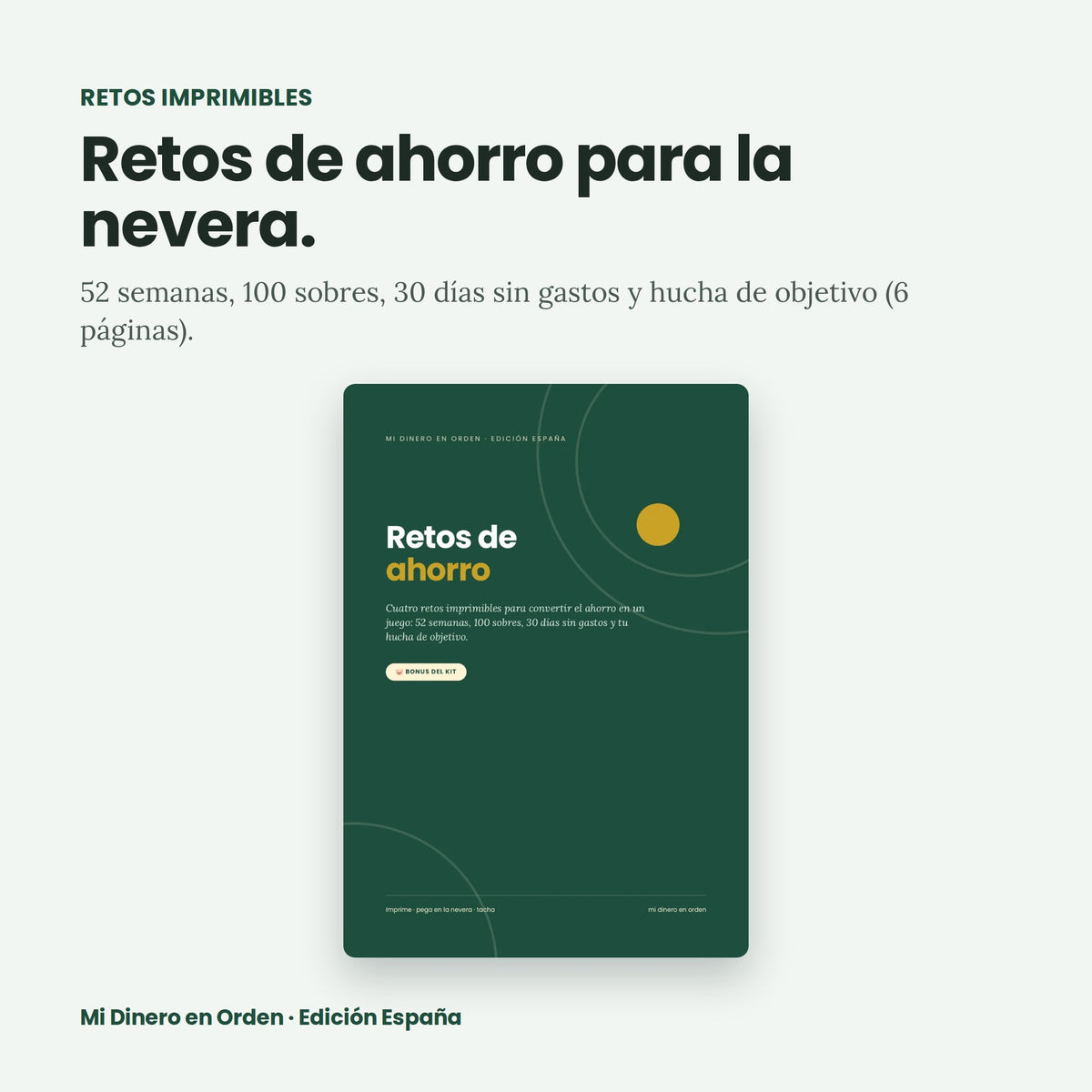 Kit Mi Dinero en Orden